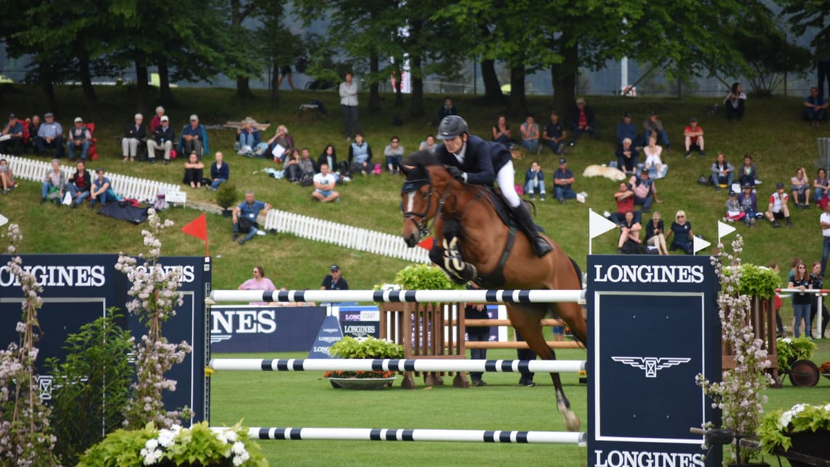Le cavalier de saut d'obstacles Beat Mändli franchit un vertical avec un cheval bai, des spectateurs sont visibles en arrière-plan sur la pente.